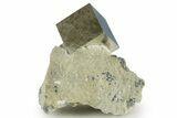 Natural Pyrite Cube In Rock - Navajun, Spain #337867-1